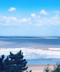 ����֮�� ̽���������׵�����