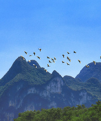 ������һ�⣬���ò�˵�羰��ĺ���