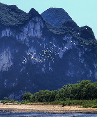 ������һ�⣬���ò�˵�羰��ĺ���