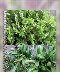 ������ϰ�ס����+���+������