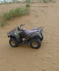 ���������ġ�ɳĮĦ�г�