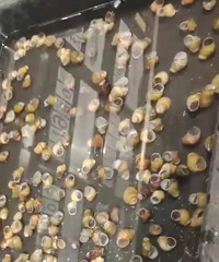 ���۸��᡿��ô�������򵽳���˿��