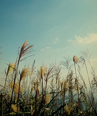 ̧һ̧ͷ���·����������Ƭ����