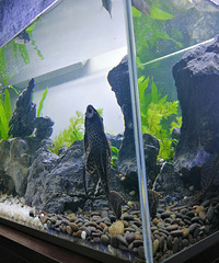 ˮ�ʸо�Խ��Խ���ˣ����״̬Ҳ�ǳ�������