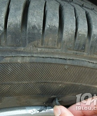 �ҵĳ�̥���λ��˻������ڻ�����̥�е���