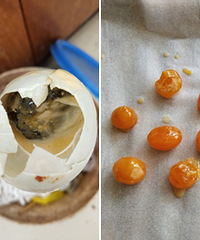 �������25���̵�ֻ��12���Ǻõ�