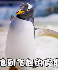 ���죬����һ��ȥ̨�ݺ������磡��Ʊ��!��!�ͣ�