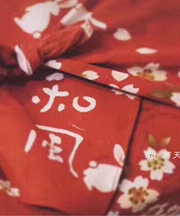 ��˾Ů���ײ�