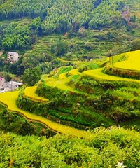 �ĺ�ɽ�£��Ǹ��������ͯ������