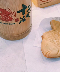 ʮ�����������