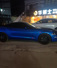 ���������ġ���ɫҰ��ʱ�г���