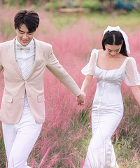 ���۵�������ɫϵ