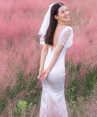 ���۵�������ɫϵ