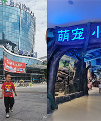 ����ݸ����˸��ȳ�С�������������