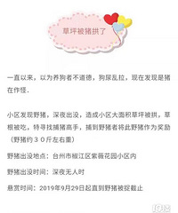 ��ޱ��԰����Ұ������˵����������ֻ�Թ�ȥ��