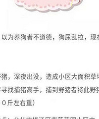 ����ĳС������Ұ��