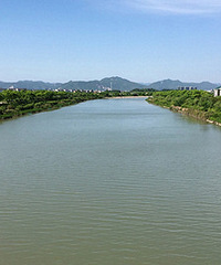 ̨�ݵ�ˮԽ��Խ���ˣ����ܵ�����