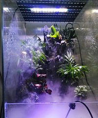 ˮ½�׽���ʱ