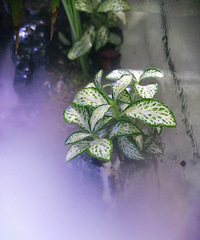 ˮ½�׽���ʱ