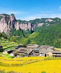 �����ɾ��������