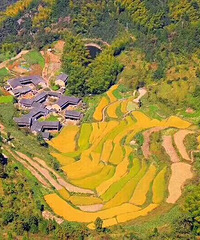 �����ɾ��������