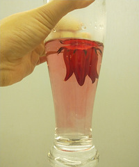 õ�����۽����������𣬽���������