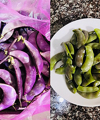 �ⶹ������ɫ�˱��ˣ���ʲôԭ��