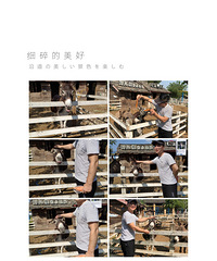 ���Լ��Σ�ϣ��������������