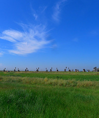 �ɼ�˼��ʥ���㳡�����ɹ����񾭳����ݵĵط�֮һ