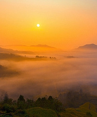 ������Դ���ɾ����ɽ