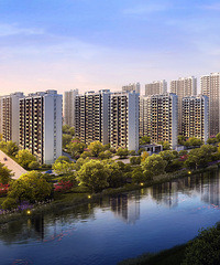 ���⣺ɽ�������������ˣ�����˺�������