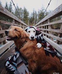 ���۸��᡿�����벻��5000���ʺϹ����ݳ�Ʒ��