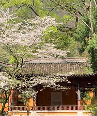 95���ٺ�GG185��λ��ʦ��ϣ����163+