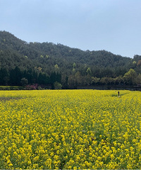 95���ٺ�GG185��λ��ʦ��ϣ����163+