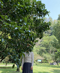 �������ɴȹ���ü�����Ҳ�����ù�ʱ