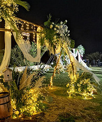 ·�����߲�ƺ���񣬸о�������