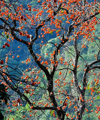 ̨���⼸�����䣬���Ӻ��ˣ�