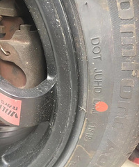 15��ȫ�µ����+��̥ �����������ߴ��