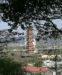 大批文物在拆塔时被清发现,其数量之大、精美之至可谓史无前例
