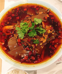 ���������Ĵ���»