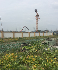 �������ռǡ�ʵ��̽�ú������������ײ����Ƶ�Ǳ����