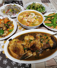 ���۸��᡿������ֲ���ʲô��