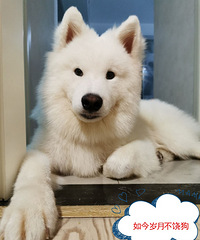 92��GG170��������Ѱϲ��������С���