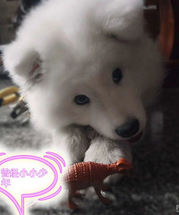 92��GG170��������Ѱϲ��������С���