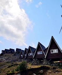 ɽ�����շ���Ŀ��ʮ�����á������ҹ�ͬ