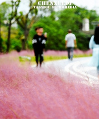 ��������ط����������Ӳ�wanghong��