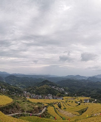 天台北山村梯田半日游,感受大自然五谷丰登之美