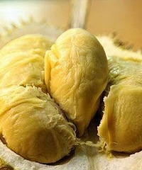 ����������Ϊ��ȥ̩������û������������˵��û����