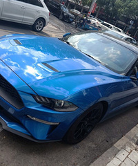 ���������ġ���ɫҰ���ܳ��������������͵�