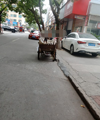 �������ġ���������С̯�������������ã�